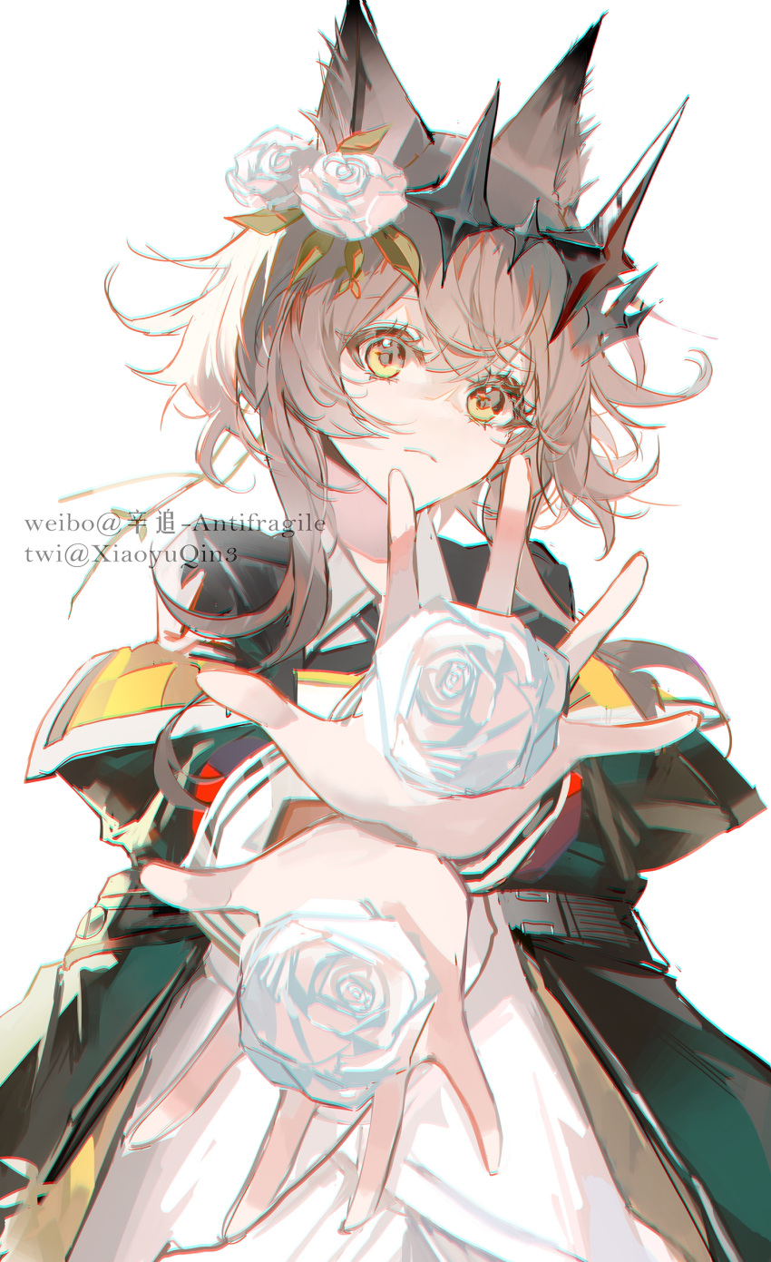 1girl, absurdres, animal_ear_fluff, animal_ears, arknights, black_jacket, brown_hair, cat_ears