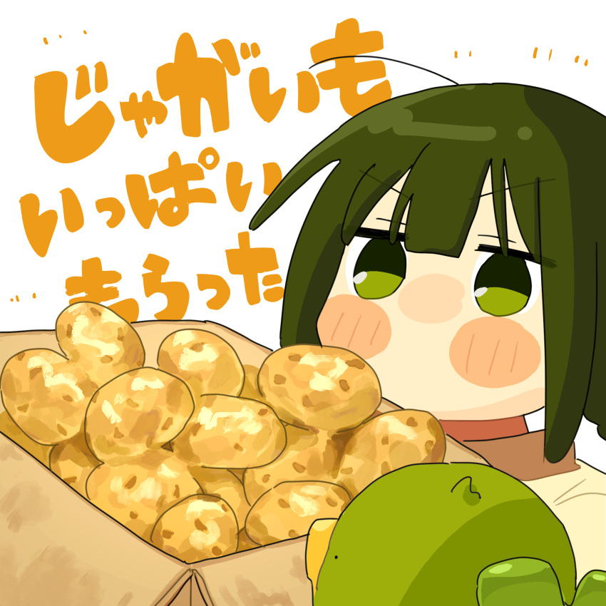1girl, bird, blush_stickers, box, cardboard_box, duck, fuu_(ozu_(oz_yarimasu)), green_eyes