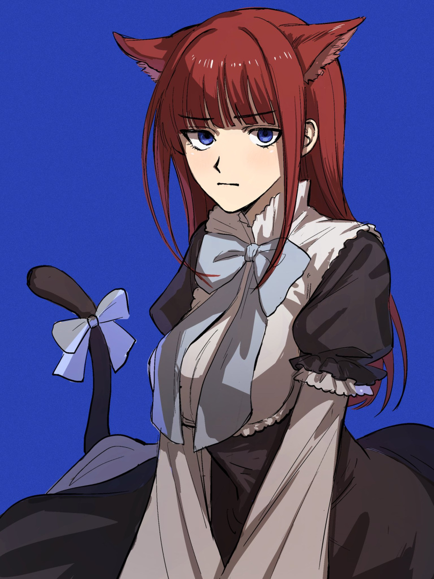 1girl, animal_ears, annoyed, blue_background, blue_bow, blue_bowtie, blue_eyes, blunt_bangs