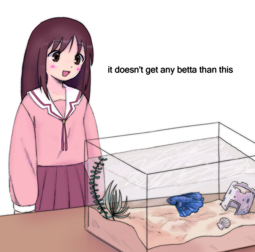 1girl, as_shrimple_as_that_(meme), azumanga_daioh, azumanga_daioh's_school_uniform, blush, brown_eyes, brown_hair, cowboy_shot, cyanide_(watagimimi), english_text, fish, fish_tank, highres, kasuga_ayumu, long_hair, long_sleeves, looking_at_animal, meme, open_mouth, pink_serafuku, pink_shirt, pink_skirt, pun, sailor_collar, school_uniform, serafuku, shirt, siamese_fighting_fish, simple_background, skirt, smile, solo, standing, tareme, white_background, white_sailor_collar, winter_uniform