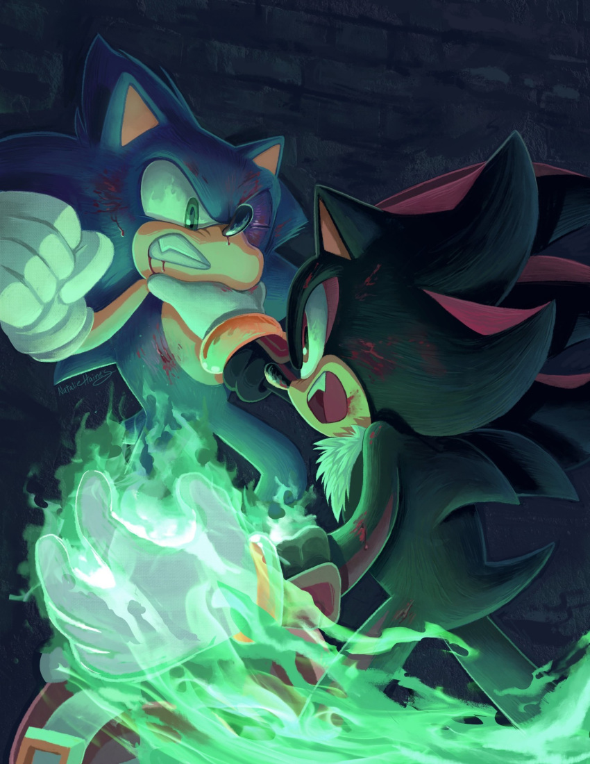 2boys, against_wall, battle, blood, blood_on_face, bruise, bruised_eye, energy, gloves, green_eyes, highres, injury, looking_at_another, male_focus, multiple_boys, natalie_haines, one_eye_closed, open_mouth, red_eyes, shadow_the_hedgehog, signature, sonic_(series), sonic_the_hedgehog, teeth, white_fur