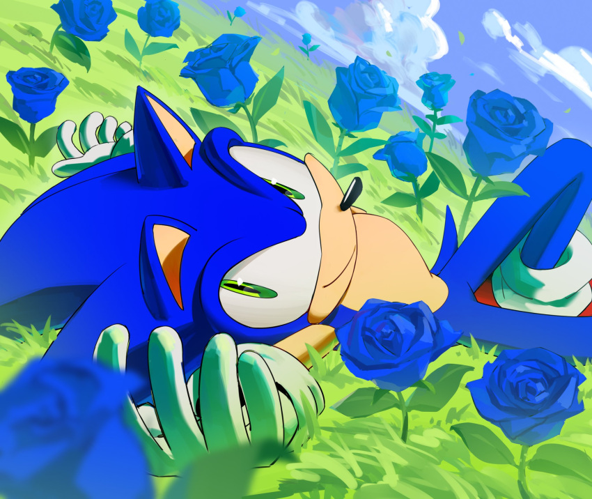 1boy, blue_flower, blue_rose, chaosrice, clouds, flower, gloves, grass