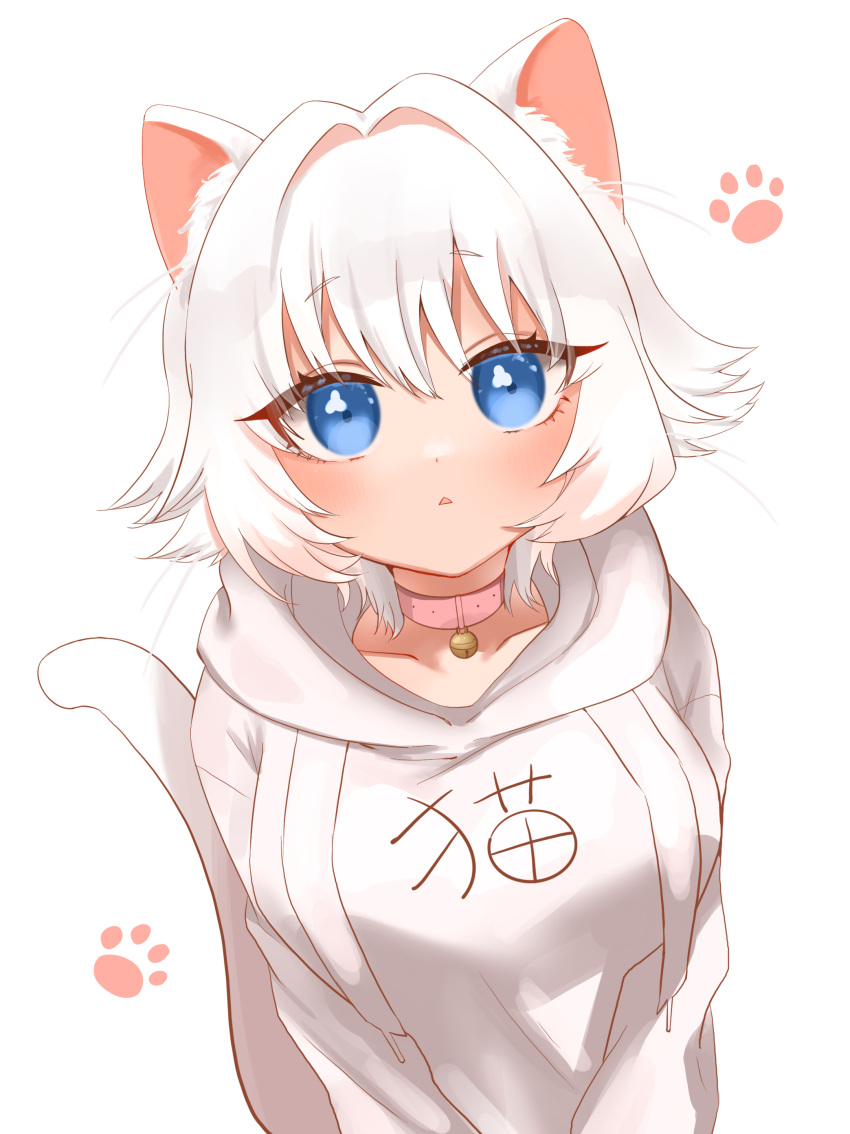 1girl, absurdres, animal_collar, animal_ear_fluff, animal_ears, arimaki_0121, blue_eyes, breasts, cat_ears, cat_girl, cat_tail, character_request, collar, highres, hood, hoodie, kimi_no_koto_ga_dai_dai_dai_dai_daisuki_na_100-nin_no_kanojo, large_breasts, looking_at_viewer, nekonari_tama, short_hair, simple_background, solo, tail, white_background, white_hair, white_hoodie