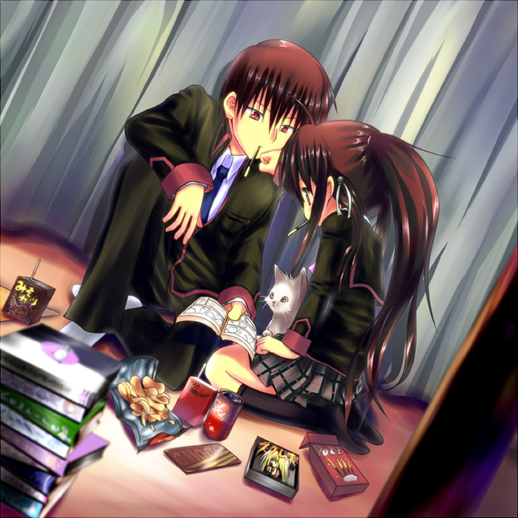 brother_and_sister, brown_hair, cat, dutch_angle, juice_box, kotsu, little_busters!!, long_hair