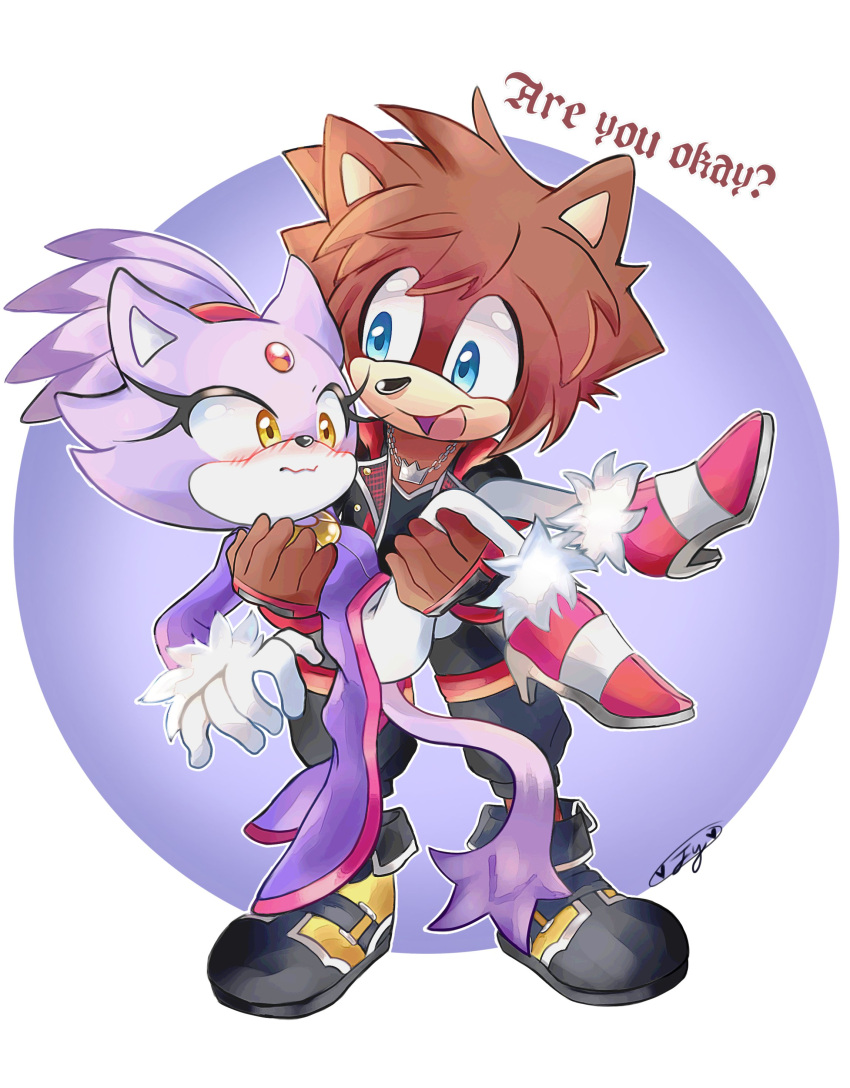 1boy, 1girl, absurdres, animal_ears, blaze_the_cat, blue_eyes, blush, brown_fur
