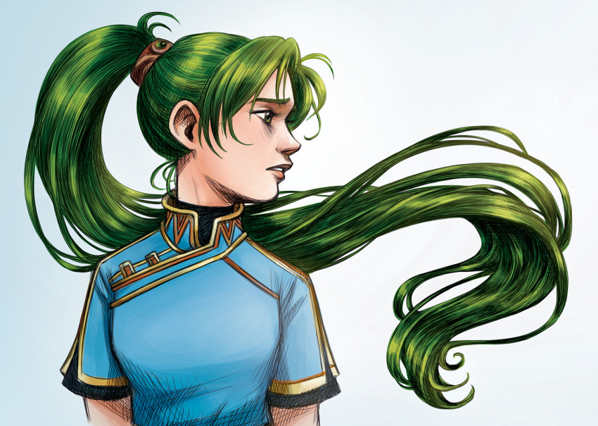 1girl, china_dress, chinese_clothes, courtneygodbey, curtained_hair, drawing, dress, english_commentary, fire_emblem, fire_emblem:_the_blazing_blade, from_side, green_eyes, lyn_(fire_emblem), portrait, short_sleeves, simple_background, solo, two-tone_background, upper_body