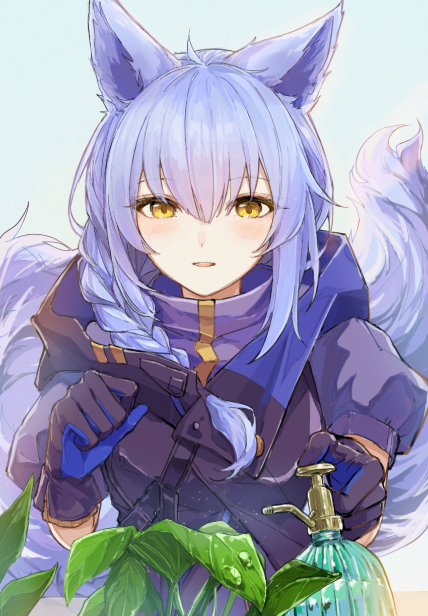 1girl, animal_ears, arknights, black_gloves, black_jacket, blue_background, blue_gloves, blush