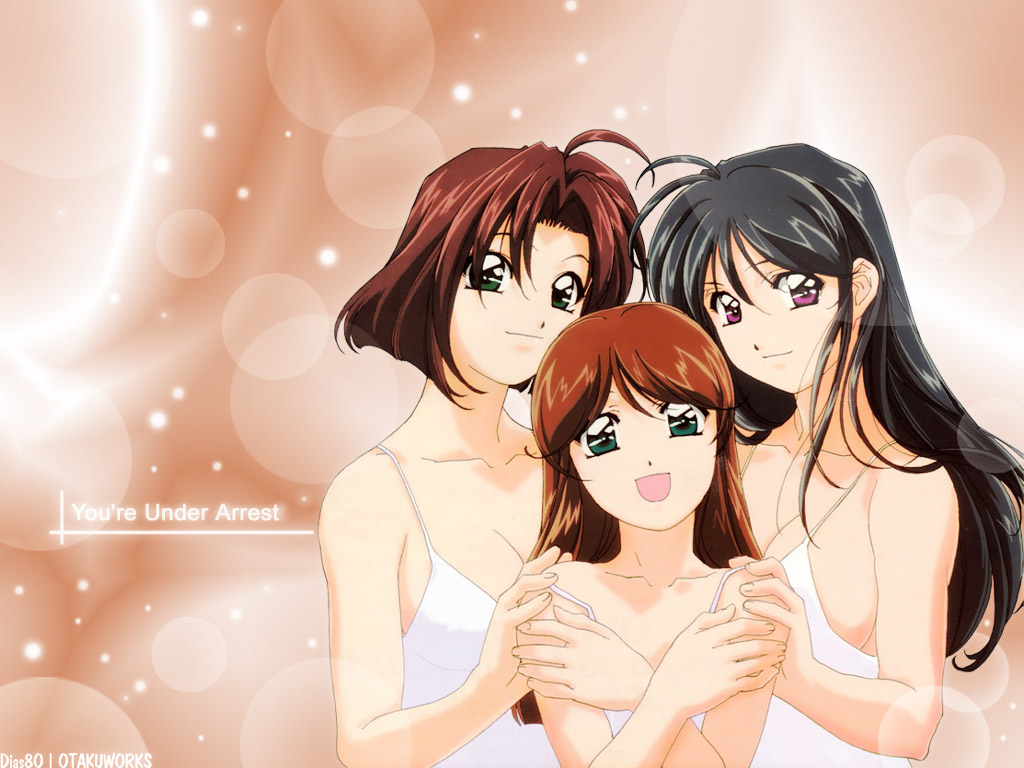 tagme, taiho_shichauzo, youre_under_arrest