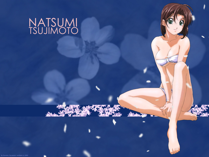 tagme, taiho_shichauzo, youre_under_arrest