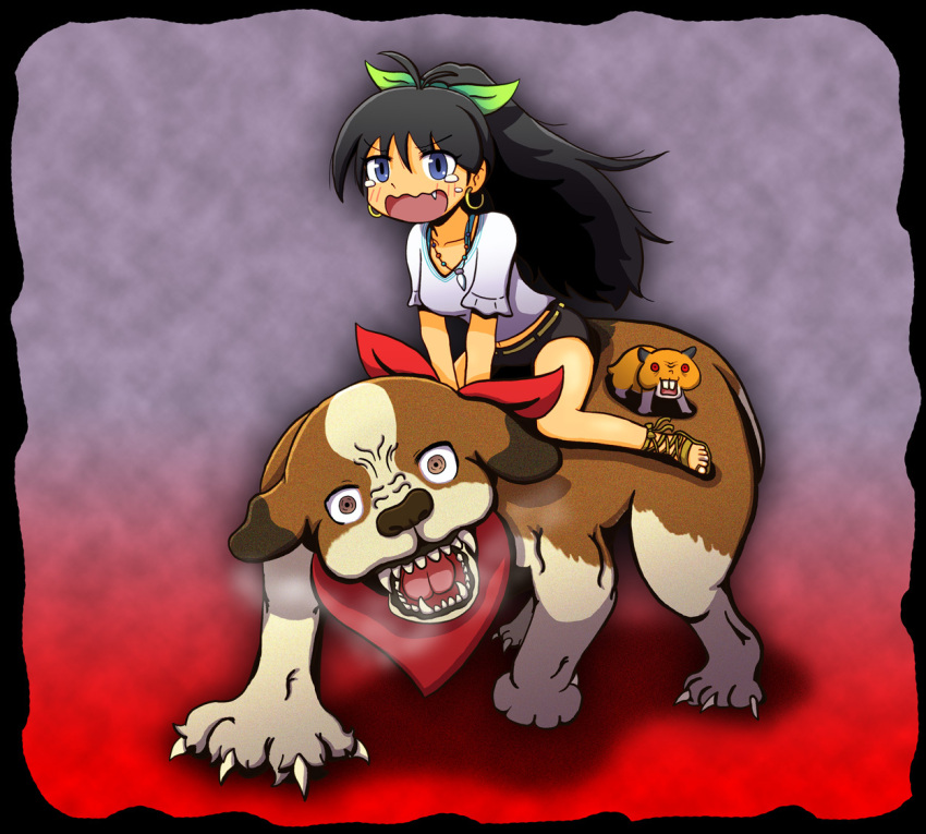 animal, dog, ganaha_hibiki, hamster, hamuzou, idolmaster, inumi, riding, scared, yuutousei