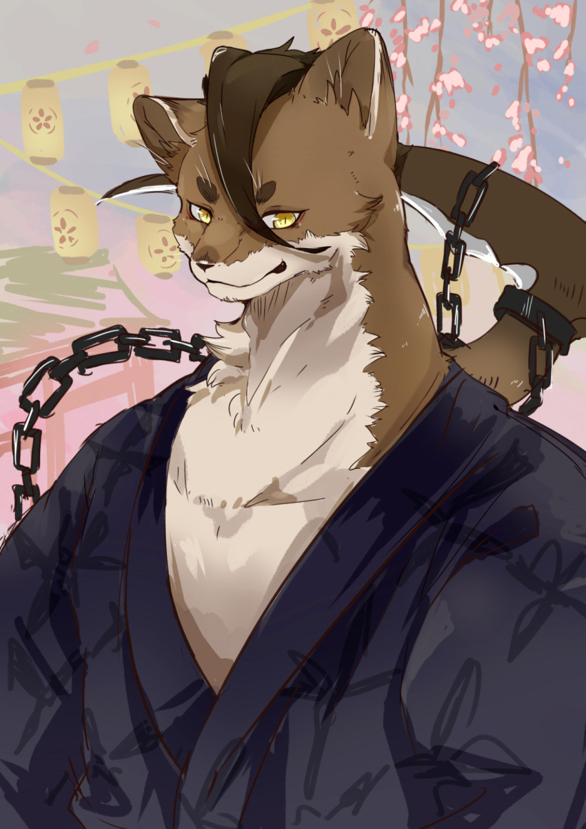 1boy, animal_ears, ao_gravity, chain, cherry_blossoms, claws, commentary_request, fangs, furry, furry_male, genshin_impact, highres, japanese_clothes, kamai_kenji, kimono, lantern, looking_at_viewer, male_focus, paper_lantern, upper_body, weasel_boy, weasel_ears, yukata