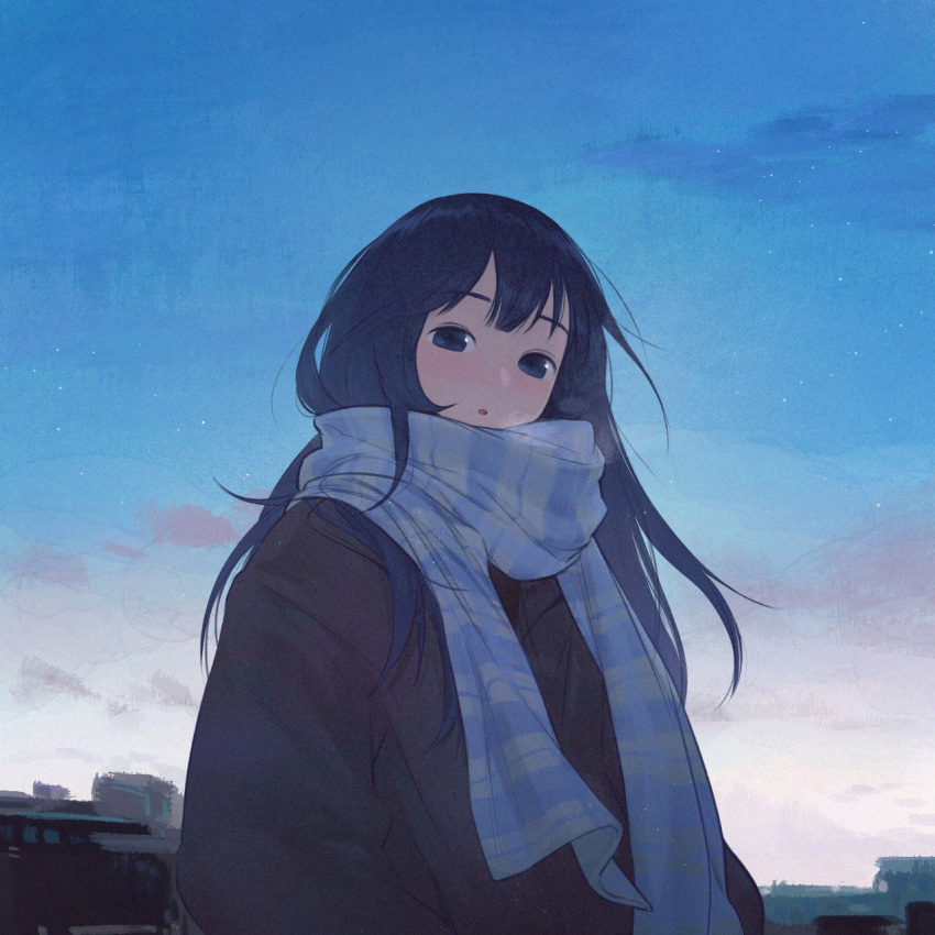 1girl, :o, black_coat, black_eyes, blue_hair, blue_scarf, blue_sky, breath