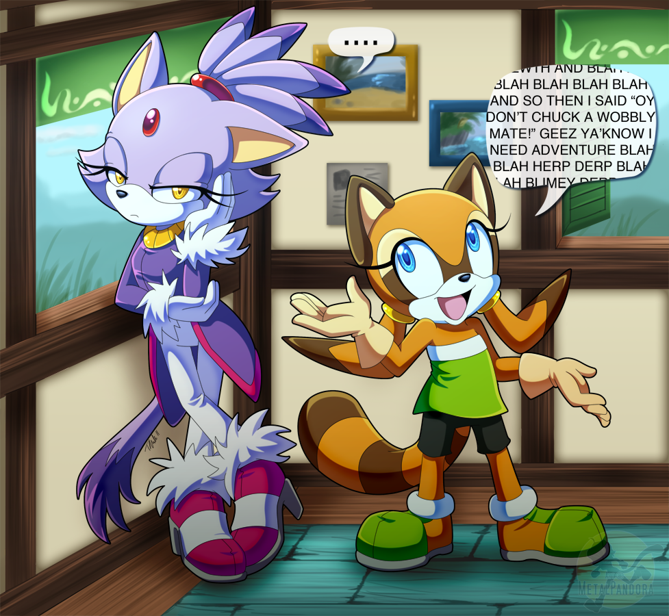 2girls, animal_ears, bad_deviantart_id, bad_id, bike_shorts, blaze_the_cat, blue_eyes, brown_fur