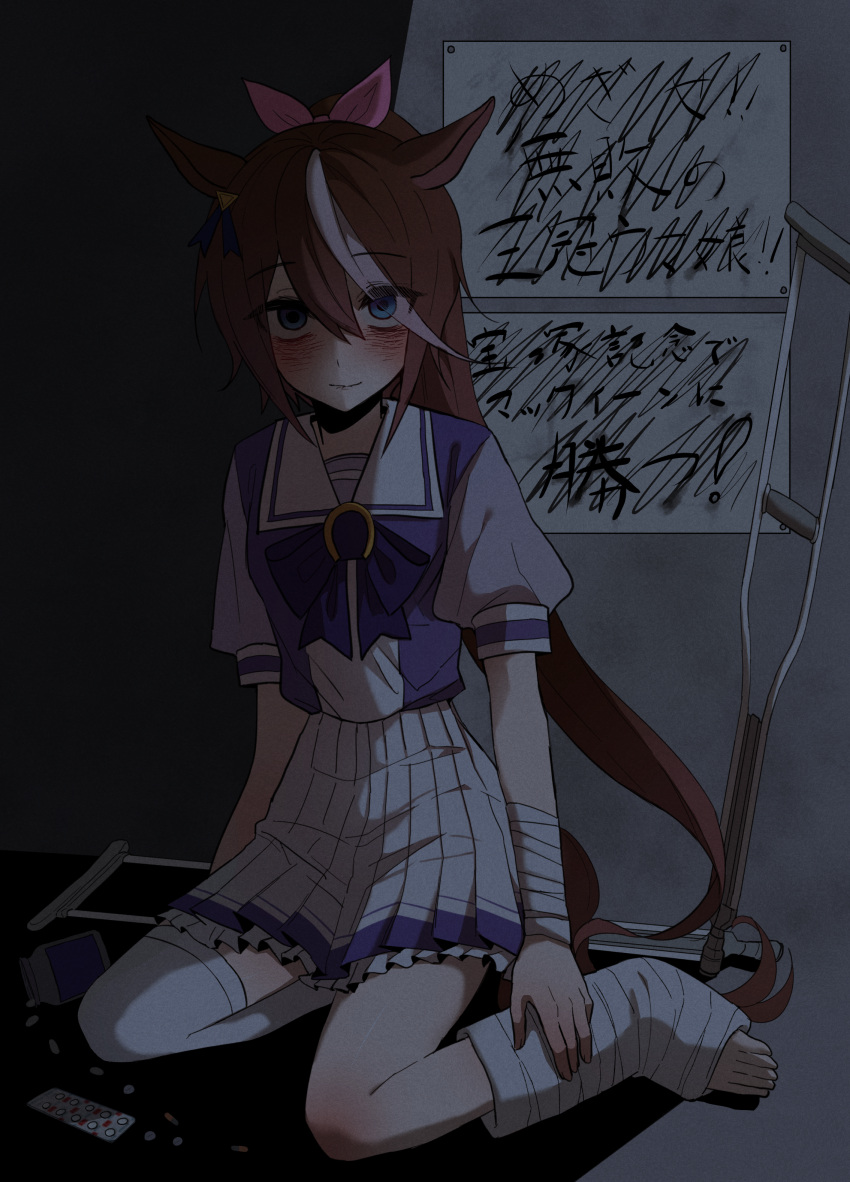 1girl, absurdres, animal_ears, bandaged_arm, bandages, blue_eyes, blush, broken_leg