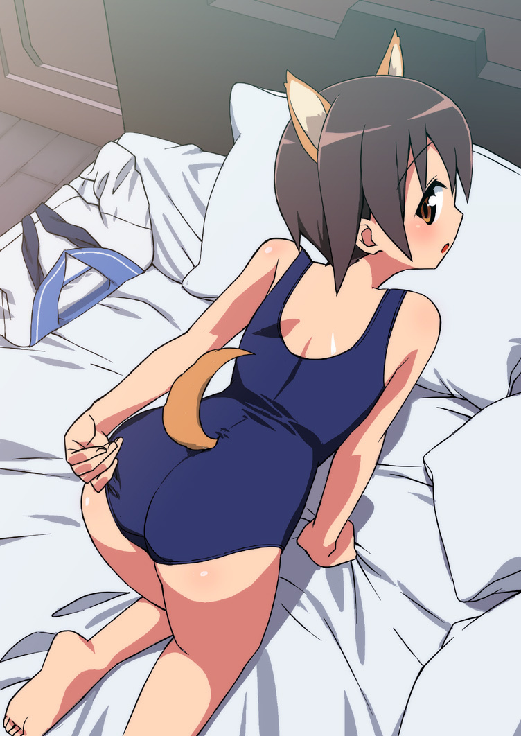 all_fours, animal_ears, barefoot, bed, brown_eyes, brown_hair, cat_ears, cat_tail, clothes_on_floor, looking_back, miyafuji_yoshika, one-piece_swimsuit, ootori_kei, pillow, school_swimsuit, school_uniform, short_hair, strike_witches, swimsuit, tail, tonbi