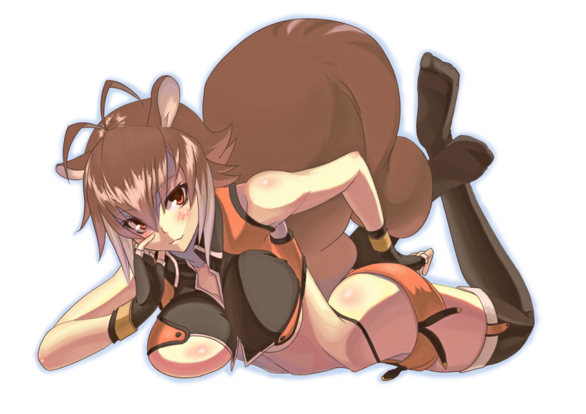animal_ears, blazblue, blush, breasts, brown_eyes, brown_hair, nanaya_makoto, squirrel_ears, squirrel_tail, tail
