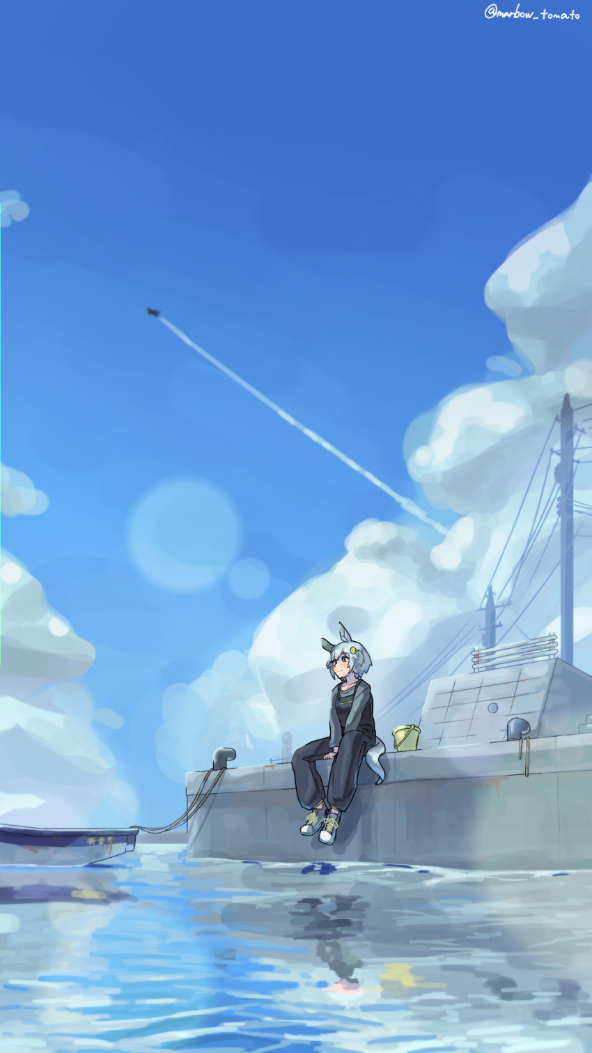 1girl, aircraft, airplane, animal_ears, blue_eyes, blue_sky, bucket, closed_mouth