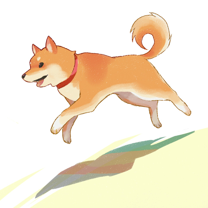 abstract_background, animal, animal_focus, black_eyes, collar, commentary_request, dog, from_side, full_body, jumping, looking_ahead, no_humans, original, red_collar, rui_(veranda), shadow, shiba_inu, simple_background, solo, tongue, white_background