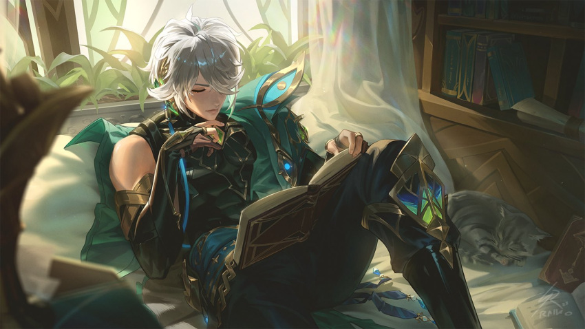 1boy, akasha_terminal, alhaitham_(genshin_impact), asymmetrical_sidelocks, bare_shoulders, black_shirt, book, bookshelf, cape, cat, compression_shirt, curtains, genshin_impact, gloves, green_cape, grey_hair, hair_over_one_eye, male_focus, mandarin_collar, one_eye_covered, open_book, partially_fingerless_gloves, raikoart, shirt, sitting, solo