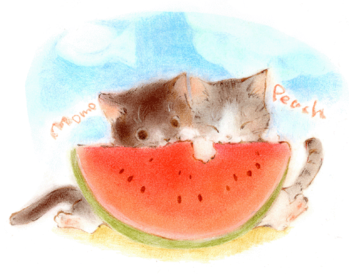 cat, cat_focus, food, fruit, holding, holding_fruit, lowres, no_humans