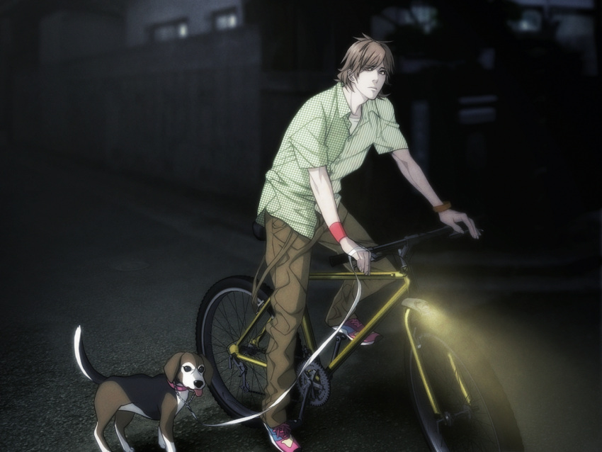 1boy, bike, brown_eyes, brown_hair, brown_pants, building, concerned, dog, eyebrows, eyebrows_visible_through_hair, eyes_visible_through_hair, game_cg, green_shirt, hands, highres, leash, legs, male, mita_makoto, on_vehicle, outdoors, outside, pants, red_wristband, shoes, short_hair, short_sleeves, sneakers, solo, street, sweet_pool, trousers, wheel, windows, wooden_fence, wristband