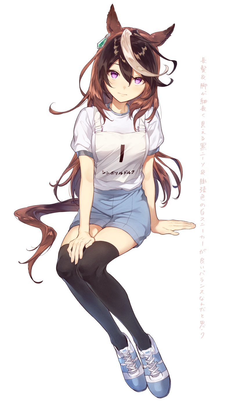 1girl, 28yanagiii, animal_ears, arm_support, black_thighhighs, blue_shorts, breasts, brown_hair