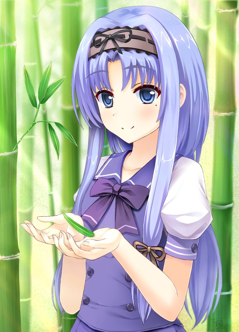 1girl, bamboo, bamboo_forest, bamboo_leaf, blue_eyes, blue_hair, blue_vest, blush