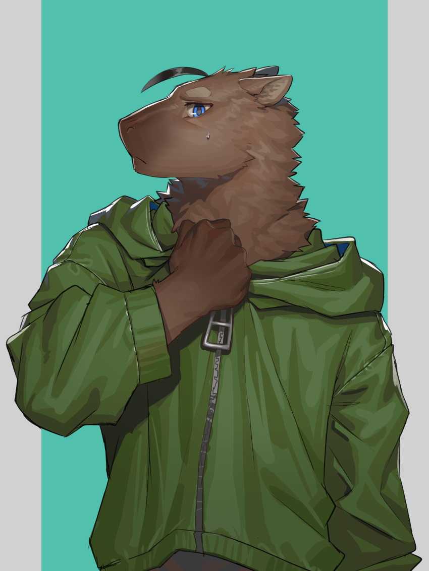 1boy, absurdres, ahoge, arumao_(capybaraarumao), blue_eyes, capybara_boy, capybara_ears, chinese_commentary, clothes_grab, commentary_request, furry, furry_male, green_jacket, highres, hood, hooded_jacket, indie_virtual_youtuber, jacket, jacket_grab, looking_at_viewer, male_focus, oversized_zipper, profile, sweatdrop, ty_arashi