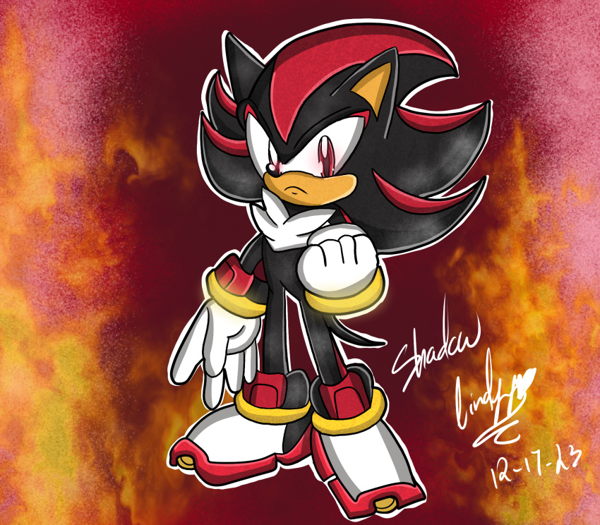 dekuqueen01, highres, non-web_source, shadow_the_hedgehog, sonic_(series), sonic_the_hedgehog, twitter_username