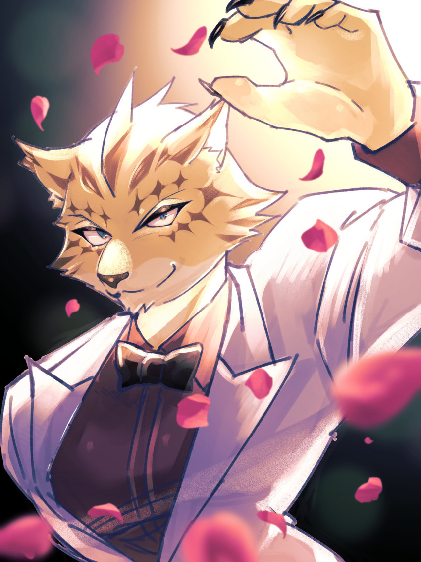 1boy, black_bow, black_bowtie, blurry, blurry_background, bow, bowtie, brown_fur