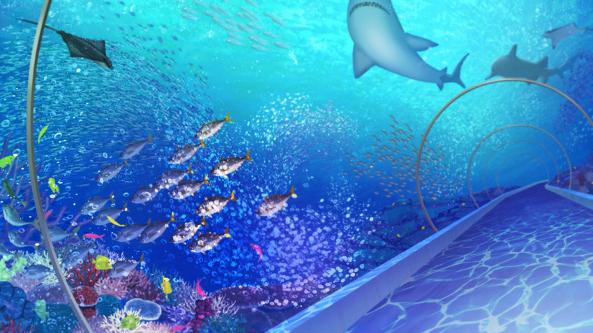 anthias_(fish), aquarium_tunnel, coral, coral_reef, dutch_angle, film_grain, fish, game_cg