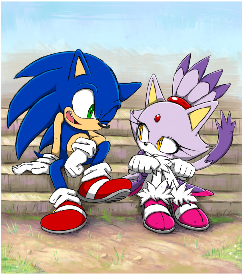 1boy, 1girl, animal_ears, blaze_the_cat, blue_fur, cat_ears, cat_girl, cat_tail, forehead_jewel, fur-trimmed_gloves, fur_trim, furry, furry_female, furry_male, gloves, green_eyes, highres, nenikat, one_eye_closed, open_mouth, pants, pink_footwear, ponytail, purple_fur, red_footwear, sitting, smile, sonic_(series), sonic_rush, sonic_the_hedgehog, tail, white_gloves, white_pants, yellow_eyes