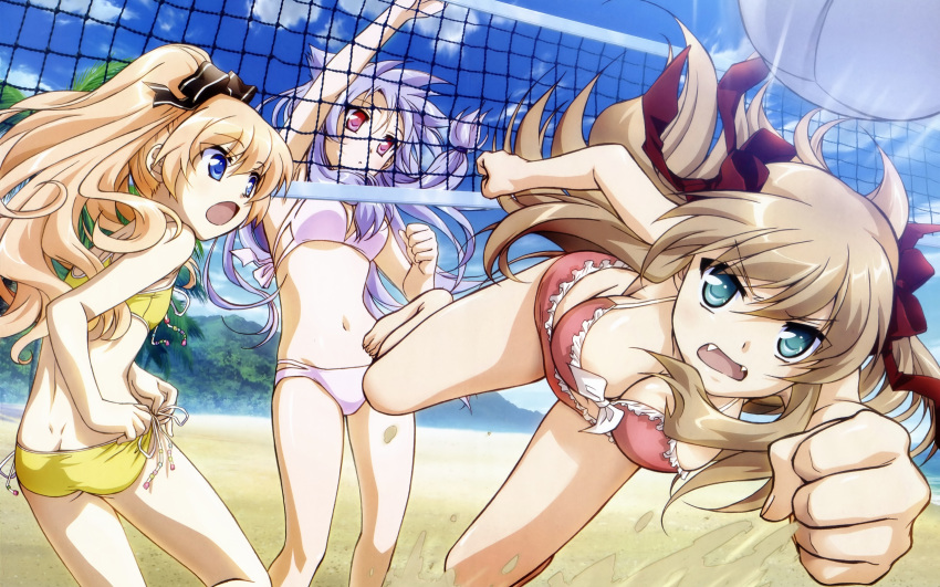 animal_ears, beach, bikini, catgirl, cleavage, fang, kiriya_nozomi, mayoi_neko_overrun!