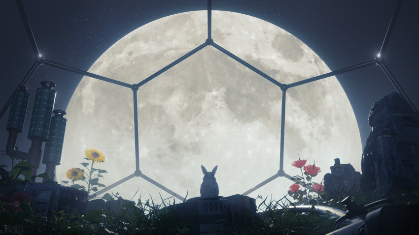 amamidori, animal, animal_focus, flower, full_moon, highres, moon, night