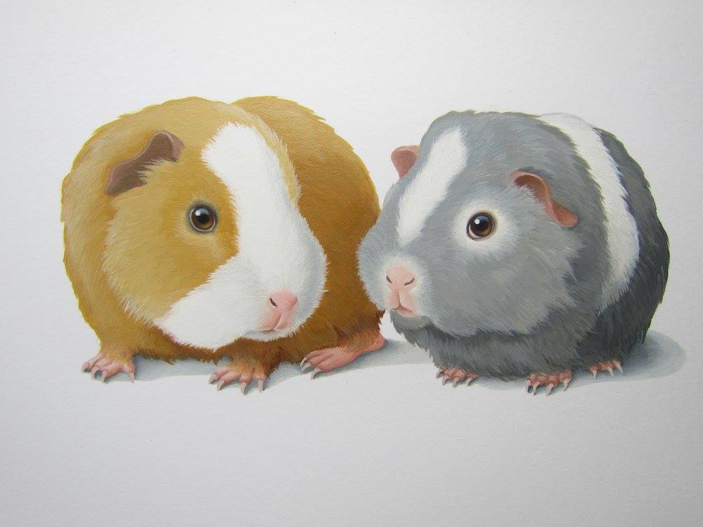 animal_focus, commentary_request, dutch_commentary, hamster, no_humans, original, painting_(medium), realistic