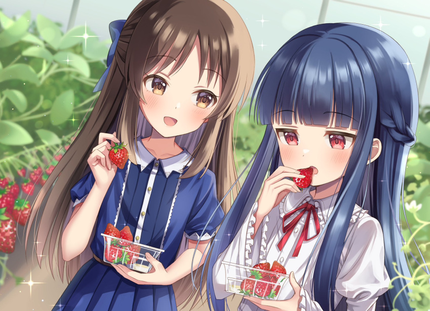 2girls, basket, belt, blue_bow, blue_hair, blunt_bangs, blush, bow