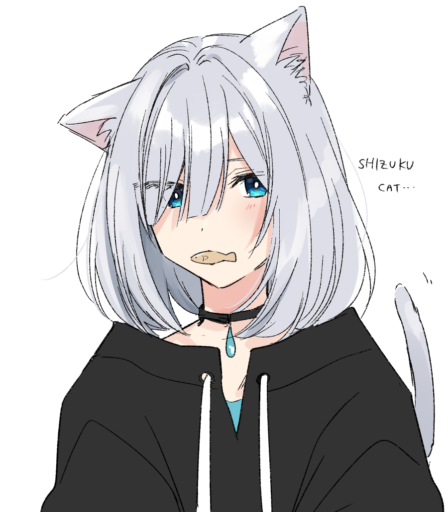 1girl, animal_ear_fluff, animal_ears, black_choker, black_sweater, blue_brooch, blue_eyes, cat_ears