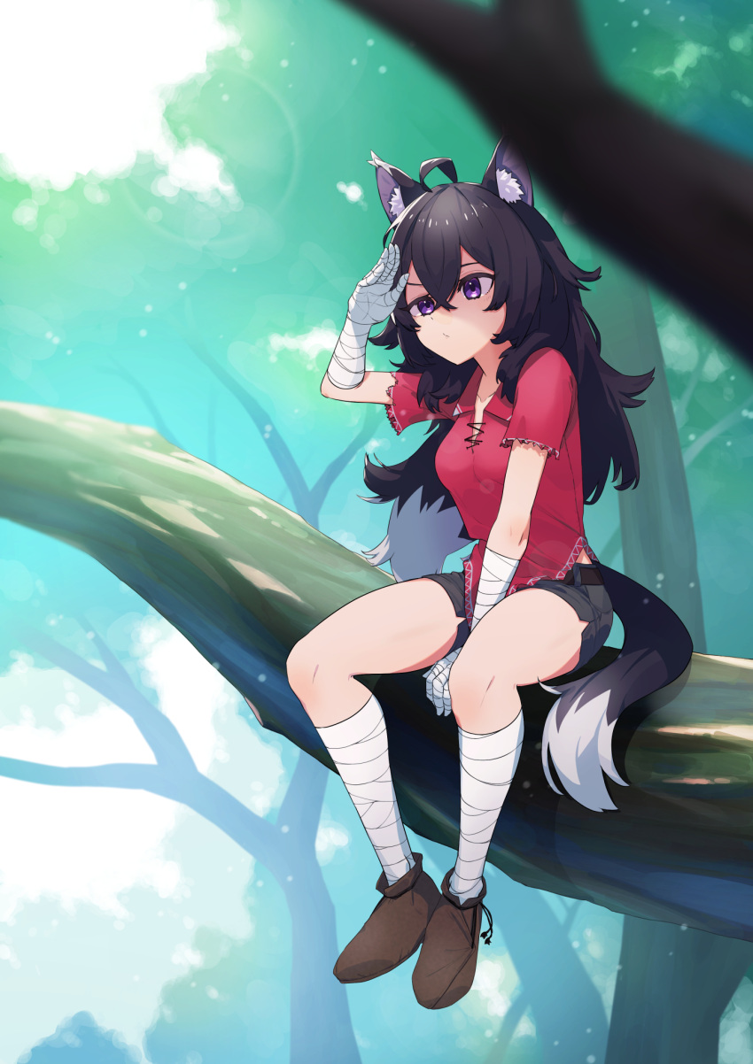 1girl, animal_ear_fluff, animal_ears, bandaged_arm, bandaged_hand, bandaged_leg, bandages, belt