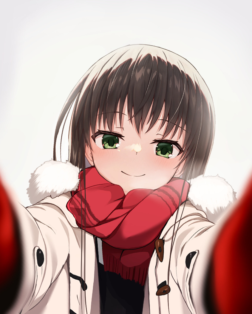 1girl, black_hair, blurry, blush, breath, closed_mouth, coat, commentary
