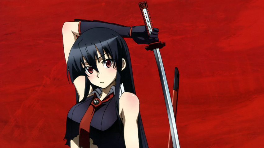akame_(akame_ga_kill!), akame_ga_kill!, artist_request, black_hair, highres, holding, holding_sword, holding_weapon