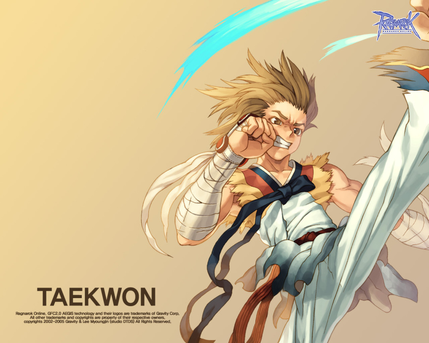 ragnarok_online, taekwon, tagme