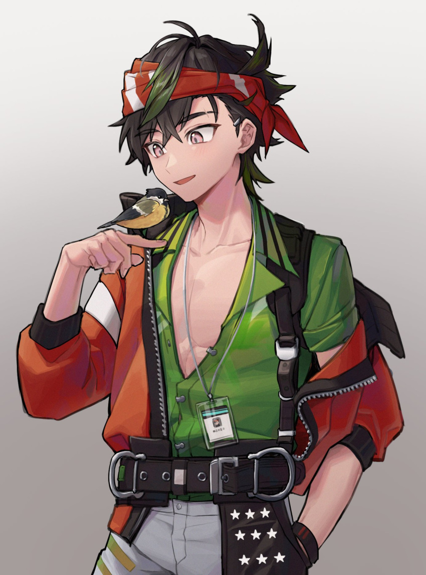 1boy, ahoge, arknights, bird, bird_on_hand, bird_request, bishounen, black_hair