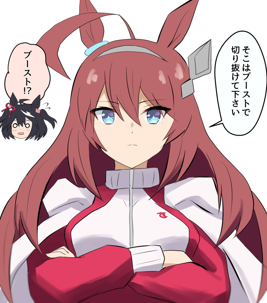 2girls, ahoge, animal_ears, black_hair, blue_eyes, blush, breasts, brown_hair