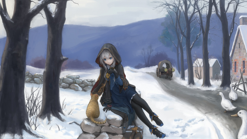 1girl, absurdres, bird, black_gloves, black_robe, black_thighhighs, blue_dress, blue_eyes