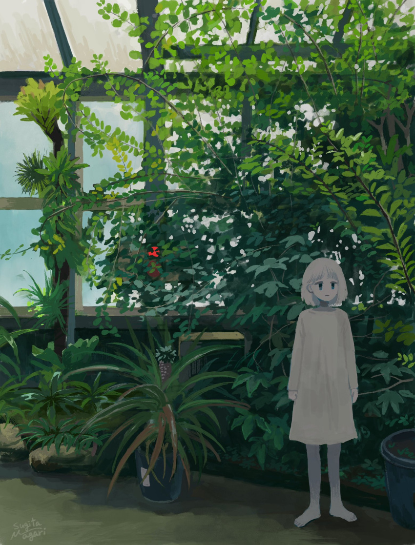 1girl, arms_at_sides, barefoot, blue_eyes, bob_cut, closed_mouth, colored_skin, commentary, day, dress, greenhouse, highres, indoors, long_sleeves, looking_at_viewer, original, plant, potted_plant, signature, solo, standing, sugita_magari, white_dress, white_hair, white_skin, wide_shot