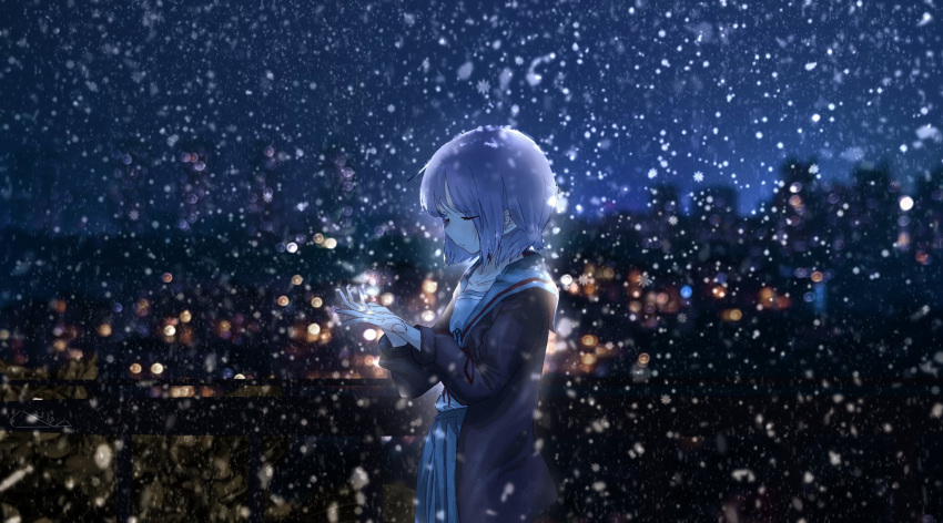 1girl, blue_sailor_collar, blue_skirt, brown_cardigan, cardigan, closed_eyes, commentary, highres, kita_high_school_uniform, long_sleeves, nagato_yuki, night, night_sky, open_cardigan, open_clothes, outdoors, purple_hair, red_ribbon, ribbon, sailor_collar, school_uniform, serafuku, short_hair, skirt, sky, snowing, solo, standing, suikatabetaiii, suzumiya_haruhi_no_shoushitsu, suzumiya_haruhi_no_yuuutsu, winter_uniform