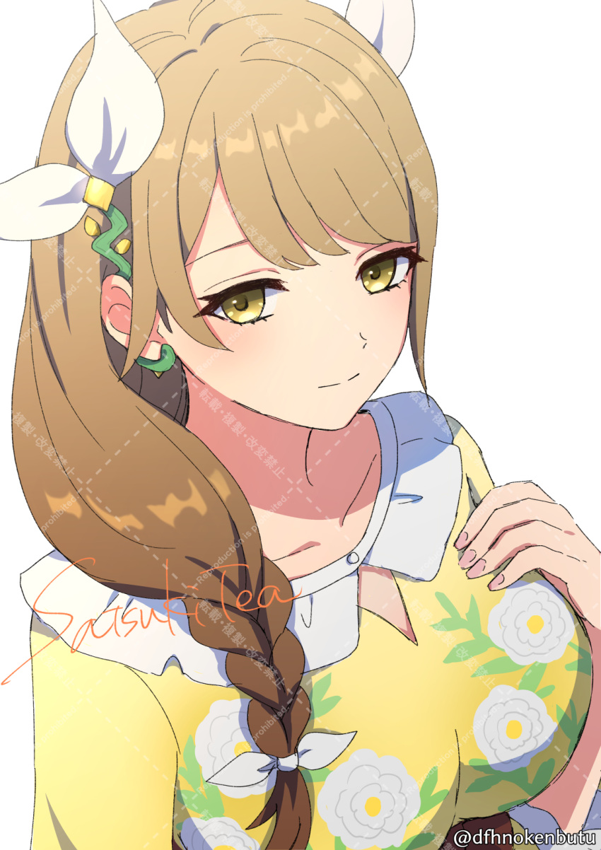 1girl, braid, brown_eyes, brown_hair, closed_mouth, dfhnokenbutu, dress, fire_emblem