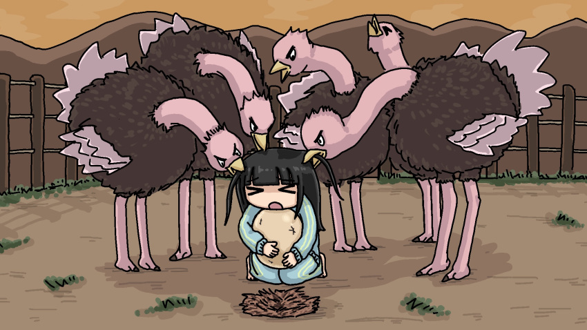 >_<, 1girl, barefoot, bird, black_hair, blue_jacket, blue_pants, blunt_bangs