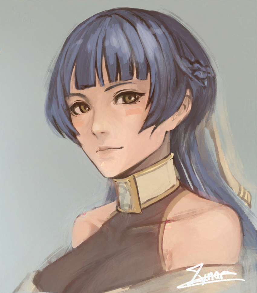 1girl, athena_(fire_emblem), blue_hair, blunt_bangs, braid, brown_eyes, cm_lynarc, colored_skin