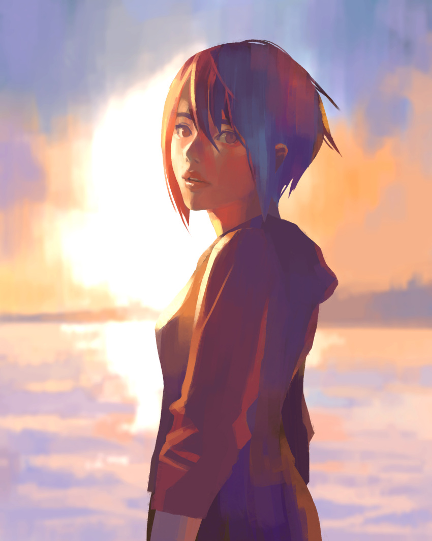 1girl, absurdres, another_code, another_code_recollection, ashley_mizuki_robbins, blurry, blurry_background, clouds, cloudy_sky, from_side, hair_between_eyes, highres, hood, hoodie, kanasaki_taisuke, looking_at_viewer, looking_to_the_side, ocean, official_art, orange_sky, parted_lips, short_hair, sky, solo, sunset